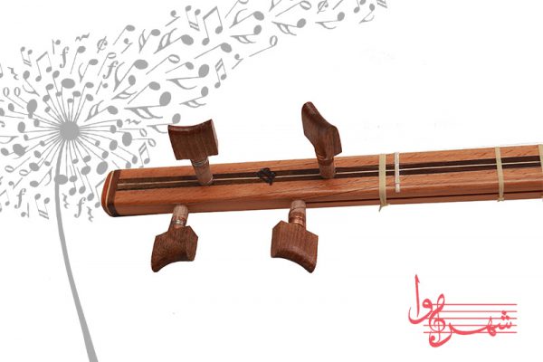 سه تار هادی پور