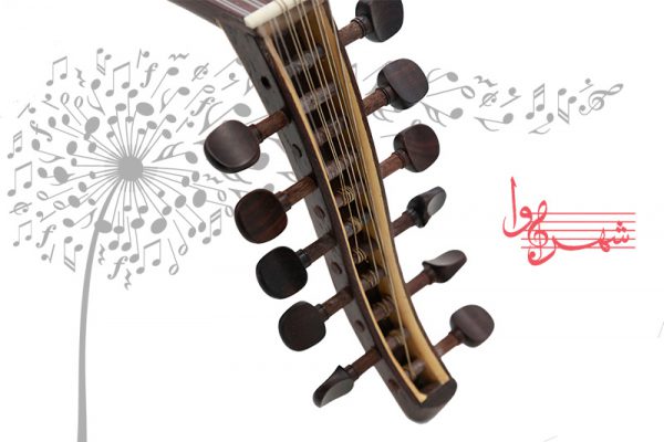 عود دادویی خط دار