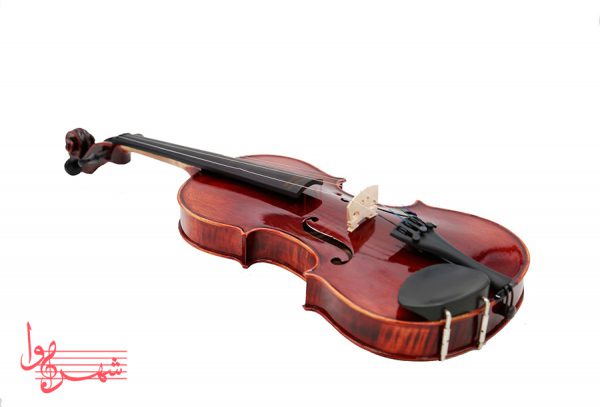 ویولن آلوی MV-130